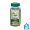 Sapino balsam fir gum - 60 capsules